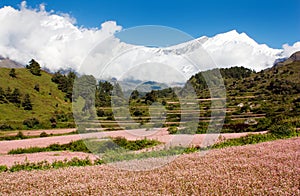 View from annapurna himal to dhaulagiri