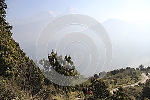 View of the Annapurna range from Poon Hill at sunrise, Ghorepani/Ghandruk, Nepal