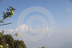 View of the Annapurna range from Poon Hill at sunrise, Ghorepani/Ghandruk, Nepal