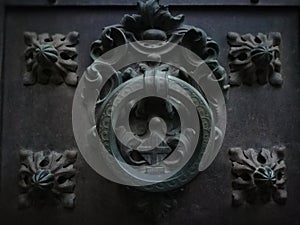 View of antique coat of arms in hand worker iron on entrance doors