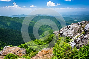 View of the Appalachian Mountains from Craggy Pinnacle, near the