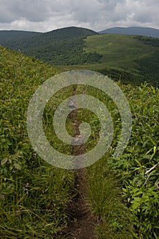 View from Appalachian Trail