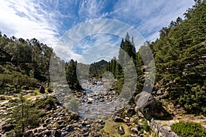 View of the Arado River and forest in the Peneda-Geres National Park in Portugal photo