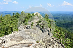 View from the Arakul cliff to the forest