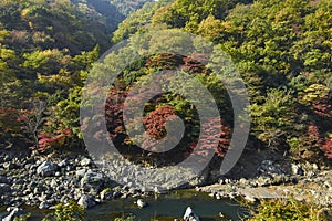 View of Arashiyama in Kyoto during Autumn