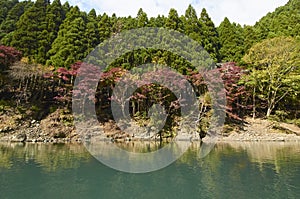 View of Arashiyama in Kyoto during Autumn