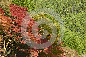 View of Arashiyama in Kyoto during Autumn