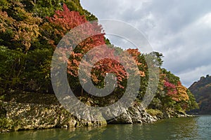 View of Arashiyama Kyoto during Autumn