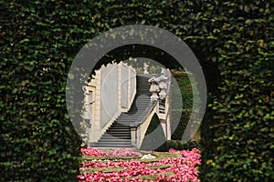 View through the arch of leaves on a beautiful medieval staircase and a beautiful garden of flowers and plants in Prague