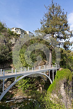 A view of the arched pedestrian bridge in the Botanical Garden of Tbilisi. Georgia country