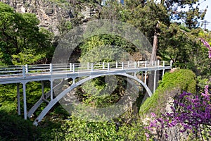 A view of the arched pedestrian bridge in the Botanical Garden of Tbilisi. Georgia country