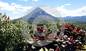 View of the Arenal Volcano in Costa Rica