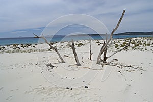 View of Arenas Biancas beach and his dunes