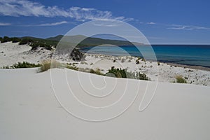 View of Arenas Biancas beach and his dunes