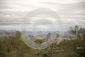 View of Arizona mountains through greenery