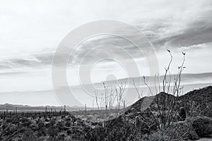 View of the Arizona - Sonaran Desert and the Mountains Beyond in