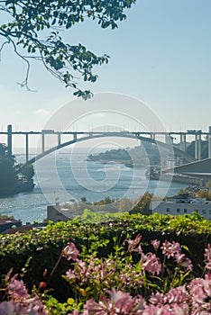 View of the Arrabida Bridge and river Douro with beautiful pink flowers in the foreground scenic composition landscape -