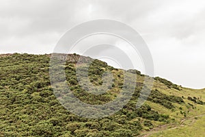 View of Arthur`s Seat in Holyrood Park in Edinburgh, Scotland