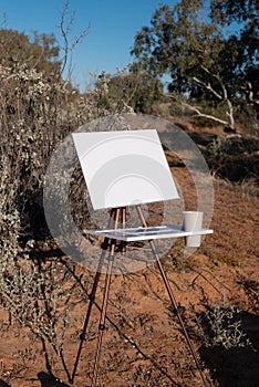 View of Artist easel set up in the Tirari Desert