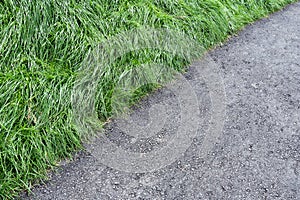 View of the asphalt footpath and the thick green grass of the mown lawn. Concept background, texture, landscape design