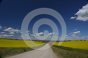 View of asphalt road in beautiful green field with blue sky