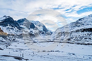 View of the Athabasca glacier