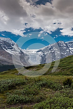 View of Athabasca Glacier from Wilcox Pass