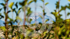 View of the Athos mountain through the leaves