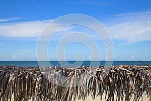 View of the Atlantic ocean through a canopy of dry palm leaves.