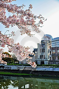 View of the Atomic Dome through cherry blossom in Hiroshima,