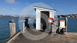 A view of Auckland from Torpedo Bay Wharf