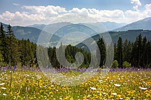 View from Austrian Alps around Zell am See