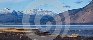 View during auto trip in Iceland. Spectacular Icelandic landscape with  scenic nature: mountains, ocean coast, fjords, fields,