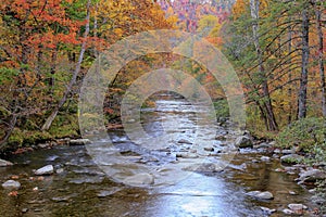 River in the Smoky Mountains