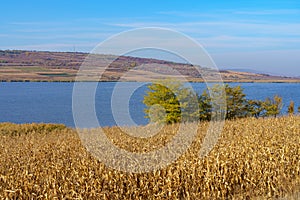 View of an autumn field with a lake or pond. The nature of Eastern Europe. Background with copy space for text