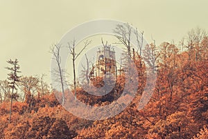 View on the autumn forest and the Bismark Tower - Bismarkturm in Bad Pyrmont, Lower Saxony - Germany