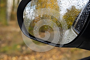 View of the autumn forest and the road in the mirror of the car