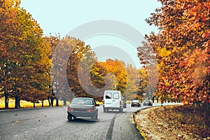 view of autumn highway fall season