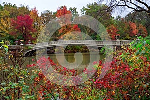 view of autumn landscape with Bow bridge in Central Park. New York City. USA