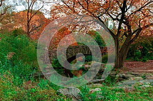 View of autumn landscape in Central Park. New York City. USA