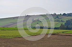 View of autumn landscape, NiederÃ¶sterreich