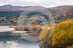 View of autumn leaves lake , Queenstown, New Zealand