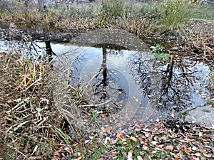 View of autumn  pond with reflection, Sveaborg, Finland