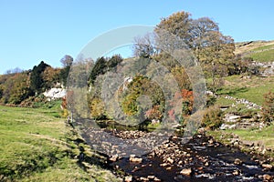 Autumn tints, Swaledale, Yorkshire Dales, UK