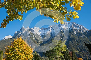 View through autumnal branches of maple tree to Karwendel mountains, Mittenwald