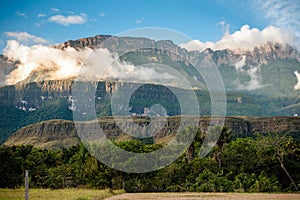 View of the Auyantepui. La Gran Sabana plain at kamarata valley