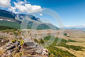 View of the Auyantepui. La Gran Sabana plain at kamarata valley