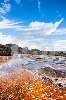 View of the Auyantepui. La Gran Sabana plain at kamarata valley