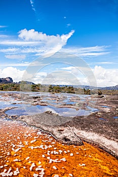 View of the Auyantepui. La Gran Sabana plain at kamarata valley