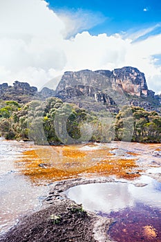 View of the Auyantepui. La Gran Sabana plain at kamarata valley